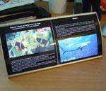 Vista System - identyfikatory personalne