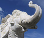Pokochaj Słonie - rzeźba