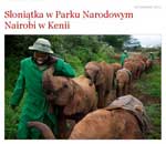 Pokochaj Słonie - słoniątka w Parku Narodowym w Kenii