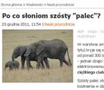 Pokochaj Słonie - szosty palec