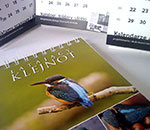 Latający klejnot - kalendarz biurkowy 2014